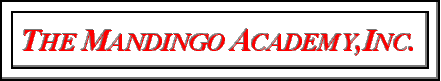 WELCOME AT THE MANDINGO ACADEMY'S WEB SITE!As we are still building,we
apologize for our appearrance! .